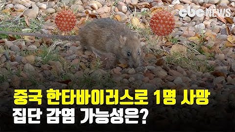 중국 한타바이러스로 1명 사망, 집단 감염 가능성은? | CBCNEWS, CBC뉴스