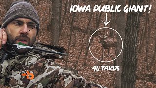 GRUNTING in TWO GIANT BUCKS in one morning! BUCK DOWN!? PART 2