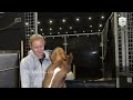 Interview with Felicia Wallin - Richard Vogel's Groom