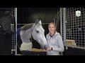 Interview with Felicia Wallin - Richard Vogel's Groom
