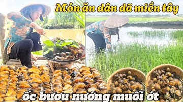 Bữa nay em ra ruộng bắt ốc bươu vàng về nướng muối ớt, em mời cô chú anh chị nha l vanphong vlog