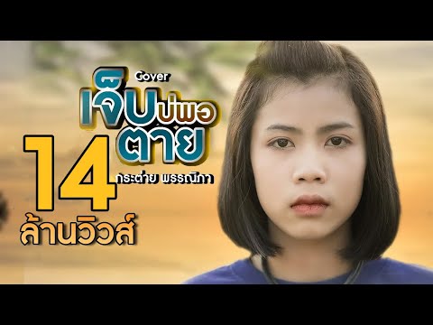 เจ็บบ่พอตาย - กระต่าย  พรรณิภา 【COVER 】