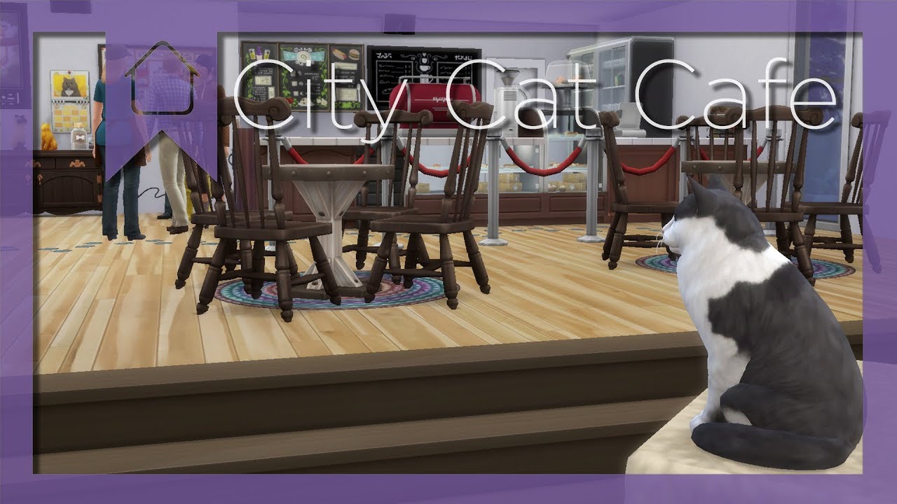 CITY CAT CAFE Sims 4 Speed Build YouTube