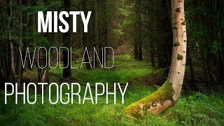 Do You Need Mist To Make A Good Woodland Image / Nikon D7200 And The Nifty Fifty