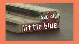 See Plus - Little Blue