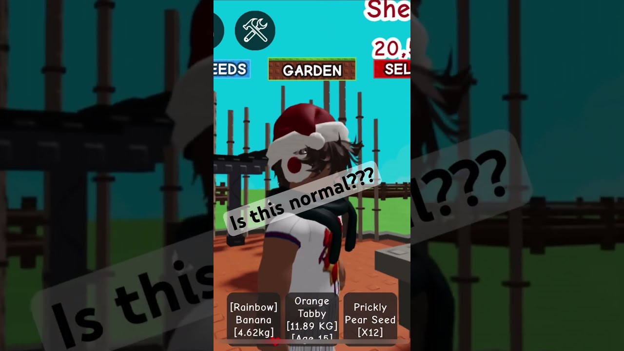 Jandel Please Fix This 