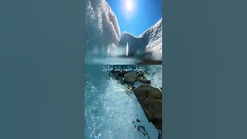 احترام القرآن الكريم