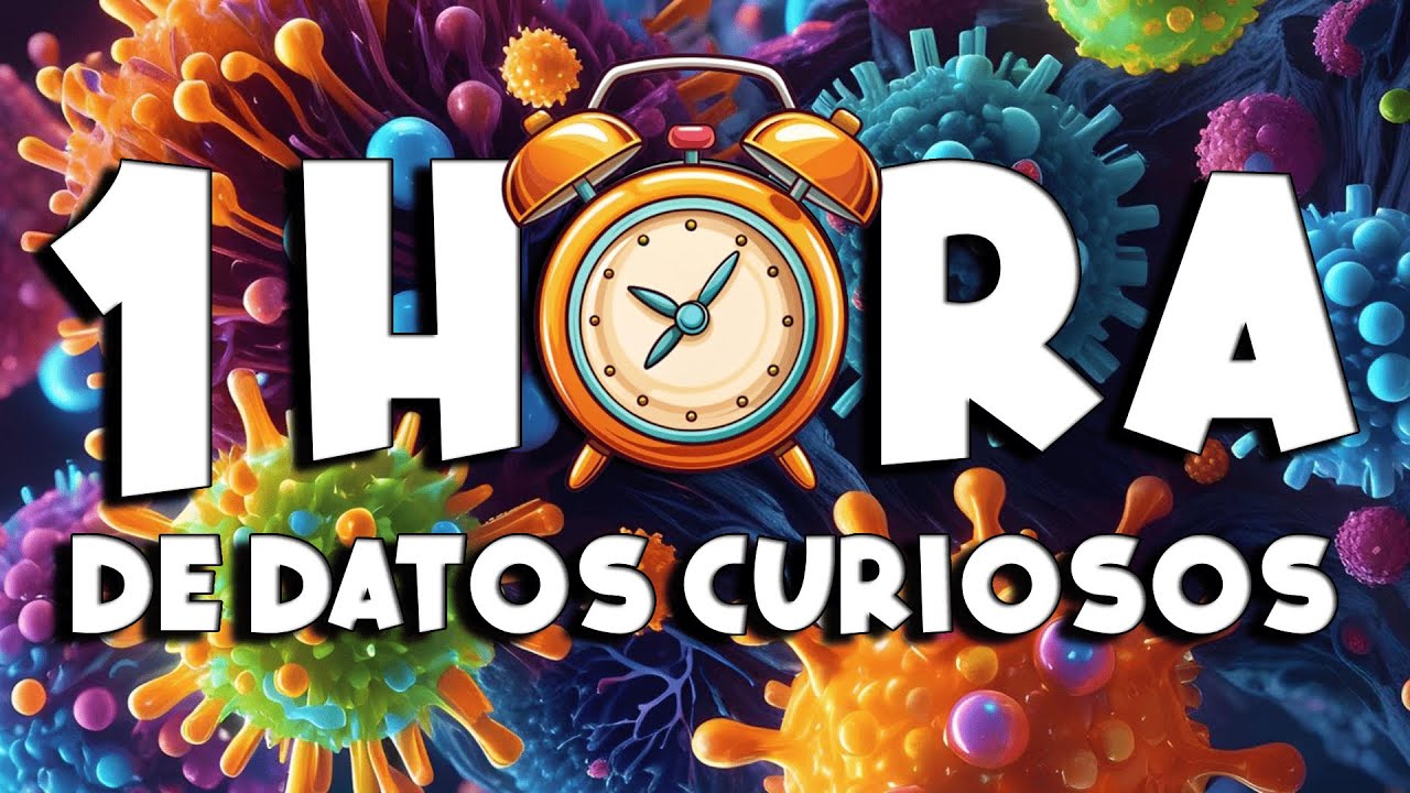 ¡ 1 HORA sin pausas de DATOS CURIOSOS y COSAS QUE NO SABÍAS ! ⏰😲 692 