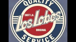 Los Lobos: Everybody Loves A Train 2004-11-20 Sparks, NV