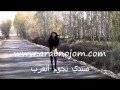 فيديو كليب رحمة رياض خلصنا 