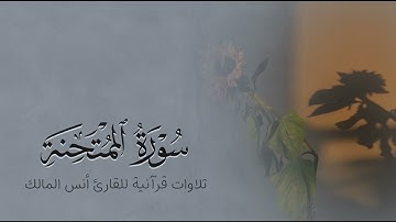 تلاوة سورة الممتحنة للقارئ أنس بن صالح المالك من ليالي رمضان لعام ١٤٤٤ بجامع الرفيعة ببريدة