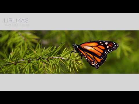 Video: Mida monarhi liblikad söövad?