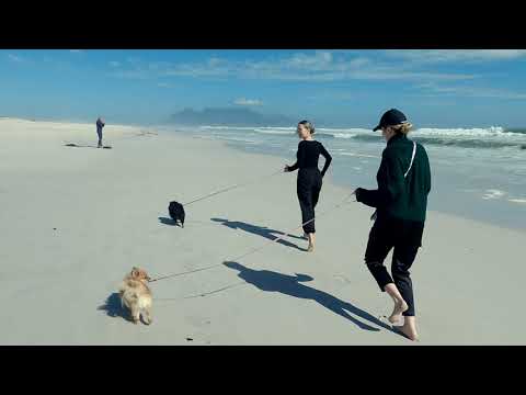 Blouberg with the Toy Poms