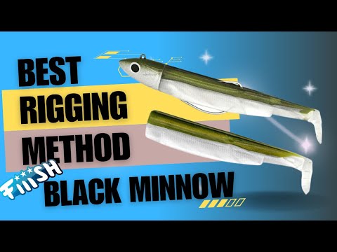 Replacing the body on a Fiiish Black Minnow 