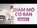 Cardio cơ bản | Beginner | Phù hợp với người đau gối, béo phì, sau sinh | Giảm mỡ cơ bản Ngày 1