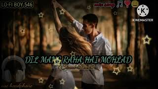 Dil Mag Raha Hai Mohlad Song Slowedreverb Song Yer Desai Ghost