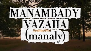 MANAMBADY VAZAHA - MANALY (Karaoke Malagasy)