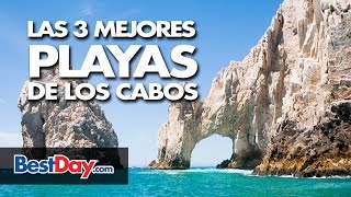 The 3 Best Beaches in Los Cabos