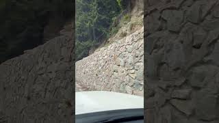 IMG 4732