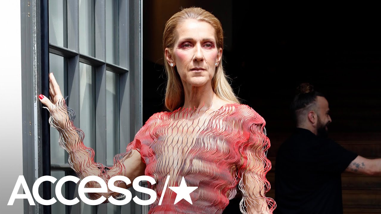 Celine Dion risks wardrobe malfunction, nasty fall while out in revealing  mesh dress in Paris