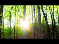 Gentle Piano Music - &quot;Summer Mornings&quot;