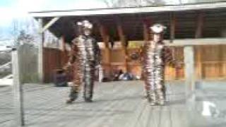 Тигриный танец (Tiger dance)