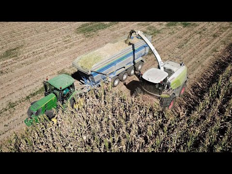 Video: Agrotecnica Dei Nontiscordardime