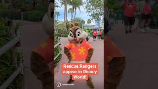 Rescue Rangers make a RARE appearance at Disney World! #rescuerangers #chipndale #disneyworld