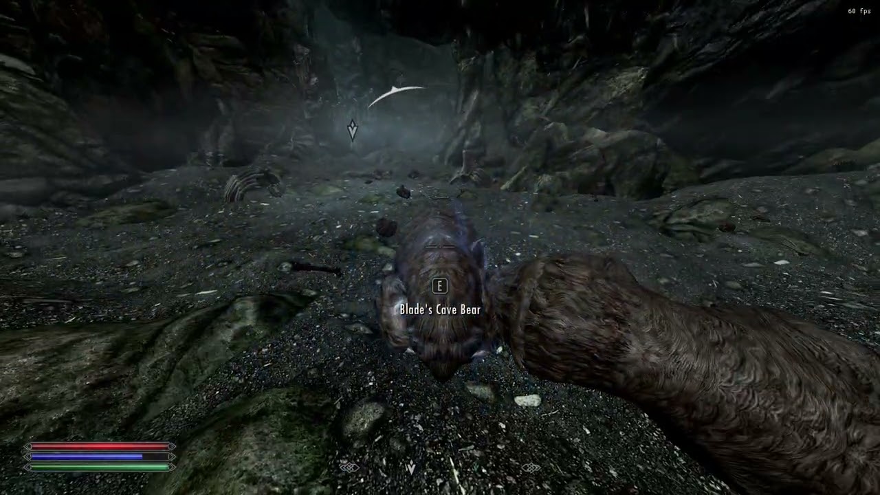 Skyrim Special Edition Modded Gameplay (82)