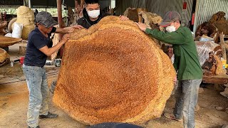 These Three Men Created The Unexpected Beauty Of This Expensive Piece Of Wood by Woodworking Tools 20,207 views 5 months ago 23 minutes