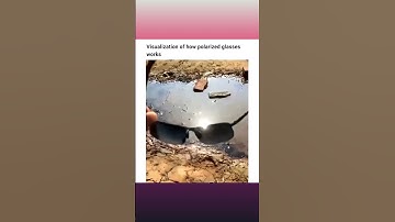 Polarisation Of Light #physics #optics #waveoptics #shorts #shortvideo #shortsvideo #shortsfeed #ipl