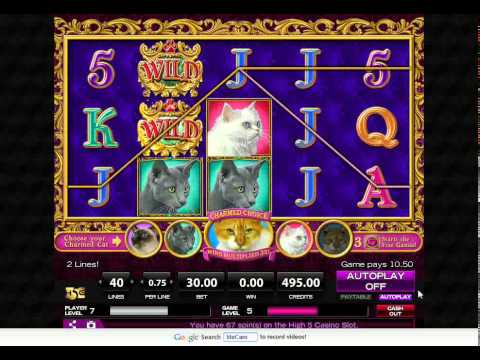 Slot de maquina World of Oz Slot de maquina World of Oz