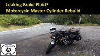 Leaking Brake Fluid? | Motorcycle Master Cylinder Rebuild