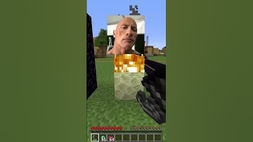 How Players build nether portals at different ages in Minecraft #shorts #meme #memes