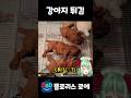 진짜 강아지 튀김인줄 알고 깜짝 놀랐잖아 ㅋㅋ