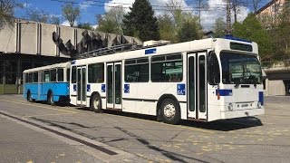 Trolleybus Naw Bt-25 766 Circulant Avec Une Remorque Historique Tl