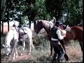 The Revenge of Ringo (Giunse Ringo e fu tempo di massacro) Full Movie by Film&Clips