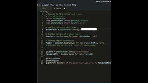 phonenumber module in python