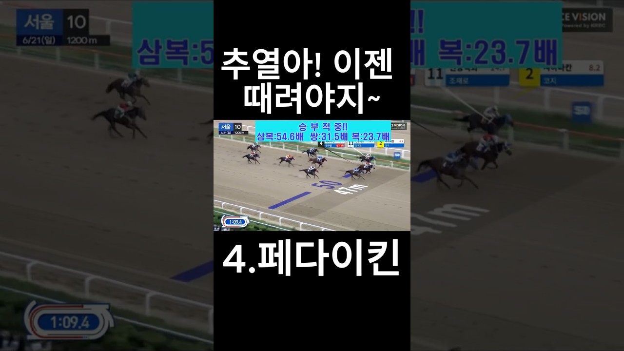 추열아 때려야지 ~  #경마  #경마예상  #경마방송  #경마예상방송  #서울경마  #금요경마  #토요경마  #일요경마 #경마장
