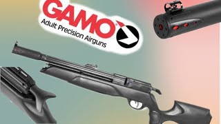 Does the Gamo Arrow HIT the mark - full review