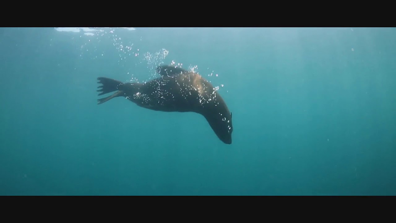 Watch MDEL - Atlantis on YouTube Watch MDEL - Atlantis on YouTube