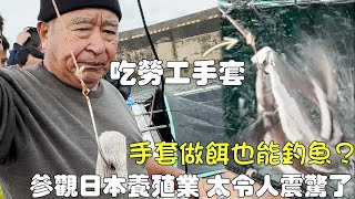 石垣島︱我吃過最美味的魚！參觀日本石垣島養值業 太令人震驚了！沒有魚餌就用勞工手套吧 ？