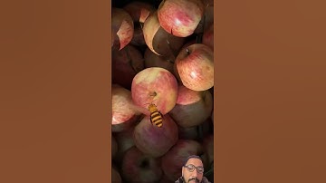 🍎Bee and Apple! Will it land?#shorts #superzoom#loop#art#infinite#relax#imagine#closeup#transition