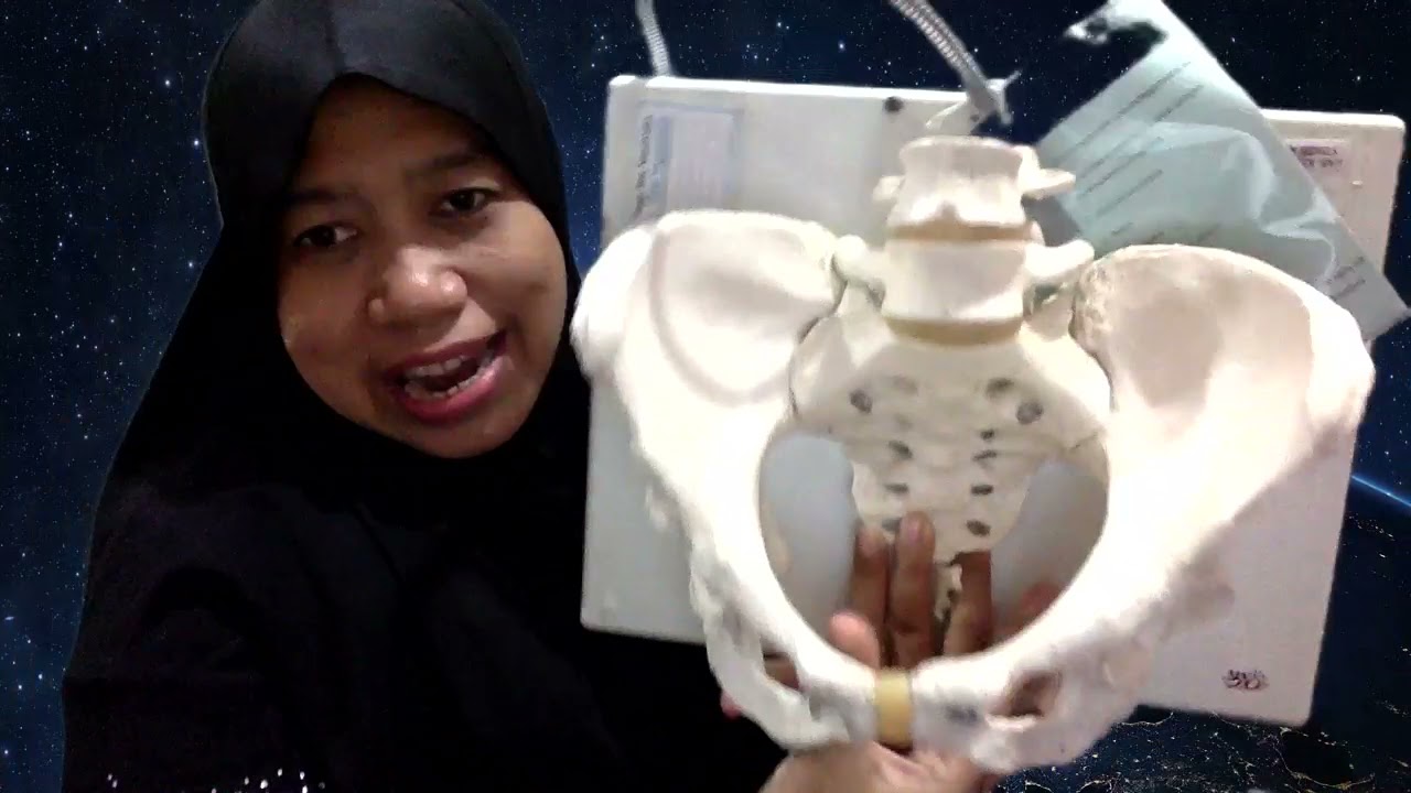 Belajar Mudah Anatomi Panggul Wanita