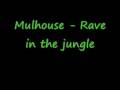 Mulhouse  rave in the jungle