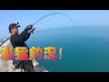 一斤200-300的魚一直釣一直爽!直接給你最誇張的釣況!入場需知!台中港北堤全段開放!Fishing in Taiwan 台湾の釣り