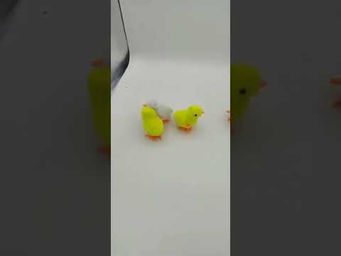 Wind-up Chicken Clockwork
