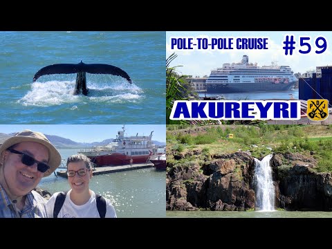 Akureyri, Iceland - Whale Watching Tour, Botanical Gardens, Pylsur Hot Dog - HAL Pole-To-Pole Cruise