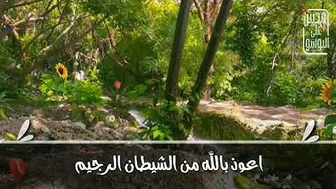 ماتيسر من سوره البقره || القارئ علي عبد السلام اليوسف