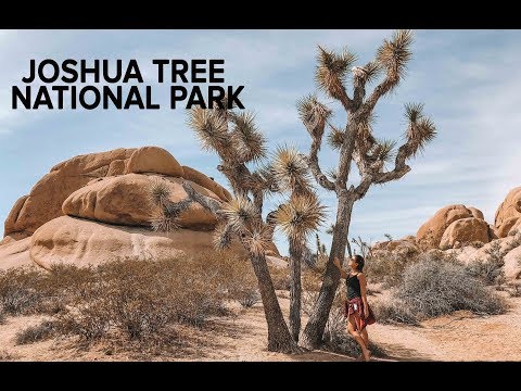 Vídeo: Onde Se Hospedar, Comer E Se Divertir No Parque Nacional Joshua Tree